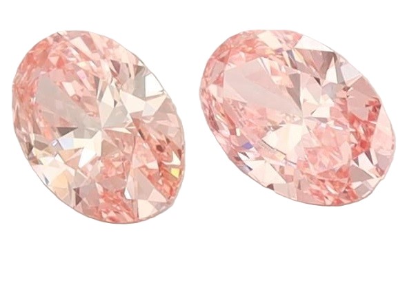 LAB2273 Actual Photo (not a sample)