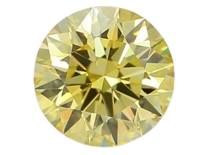 LAB559 Actual Photo (not a sample)